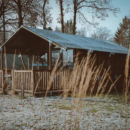 Glamping De Boshoek Voorthuizen