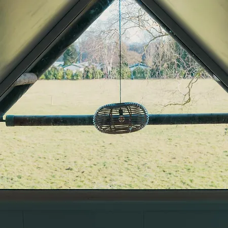 Glamping De Boshoek Voorthuizen
