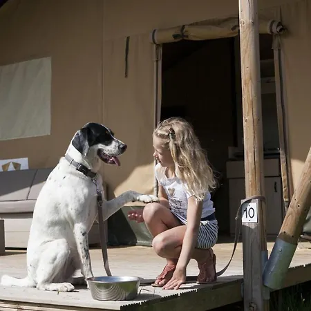 Prázdninový areál Glamping De Boshoek Voorthuizen
