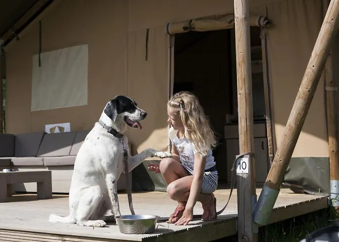 Holiday park Glamping De Boshoek Voorthuizen