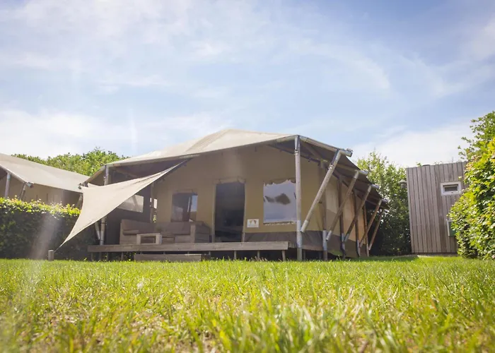 Glamping De Boshoek Holiday park Voorthuizen