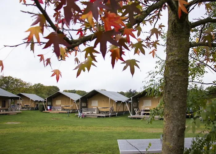 Glamping De Boshoek Voorthuizen